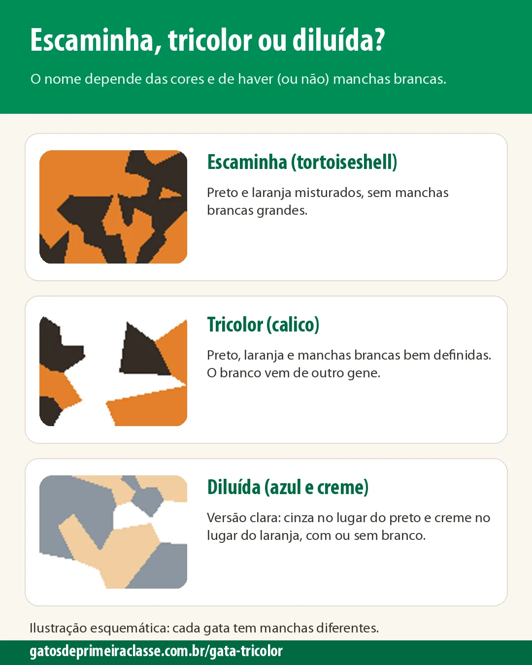 Infográfico com três quadros de manchas: escaminha (preto e laranja), tricolor (preto, laranja e branco) e diluída (cinza, creme e branco)
