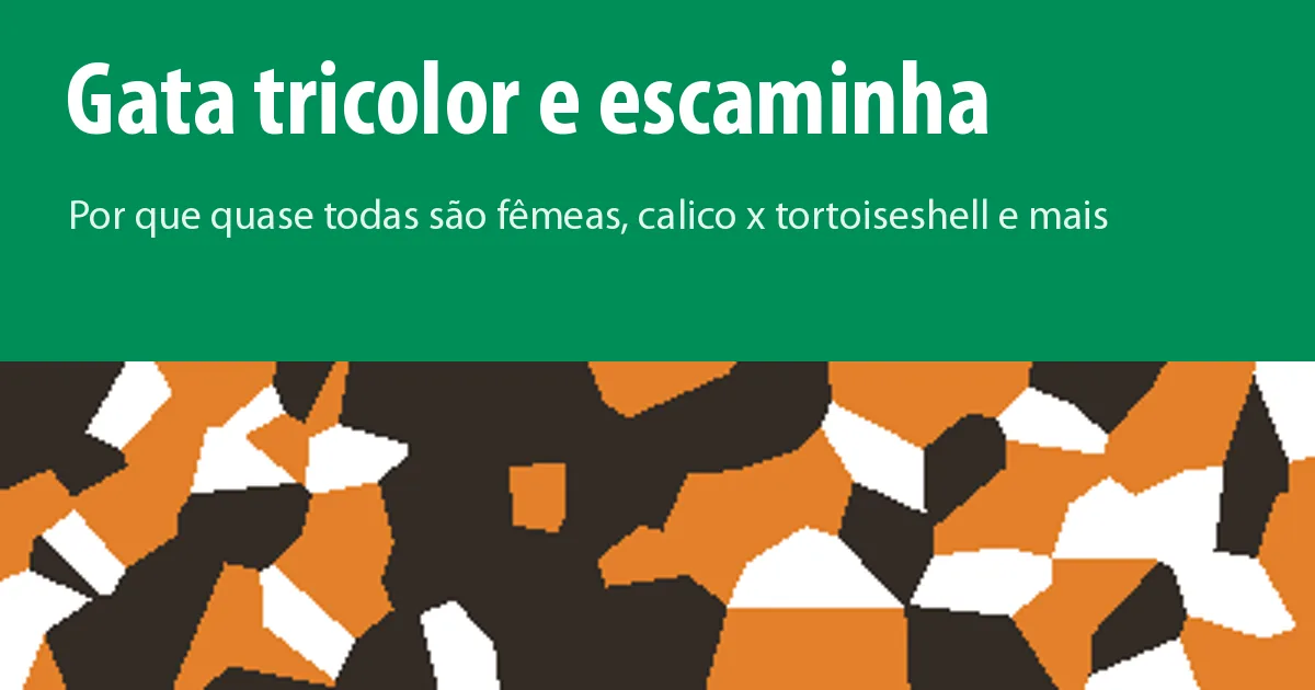 Mosaico de manchas laranja, pretas e brancas, como a pelagem de uma gata tricolor