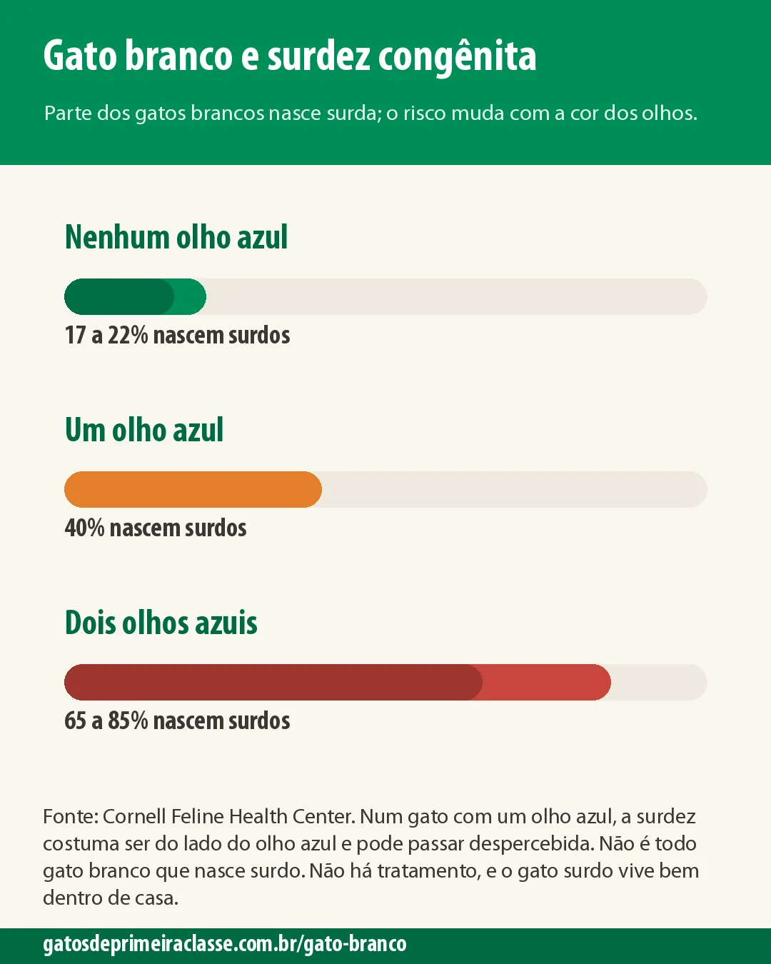 Infográfico com três barras: 17 a 22% de surdez em gatos brancos sem olho azul, 40% com um olho azul e 65 a 85% com dois olhos azuis