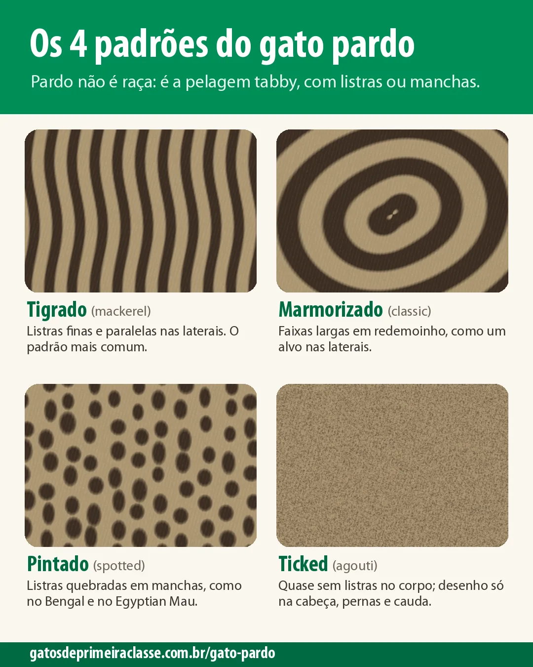 Infográfico com os 4 padrões de pelagem do gato pardo: tigrado, marmorizado, pintado e ticked