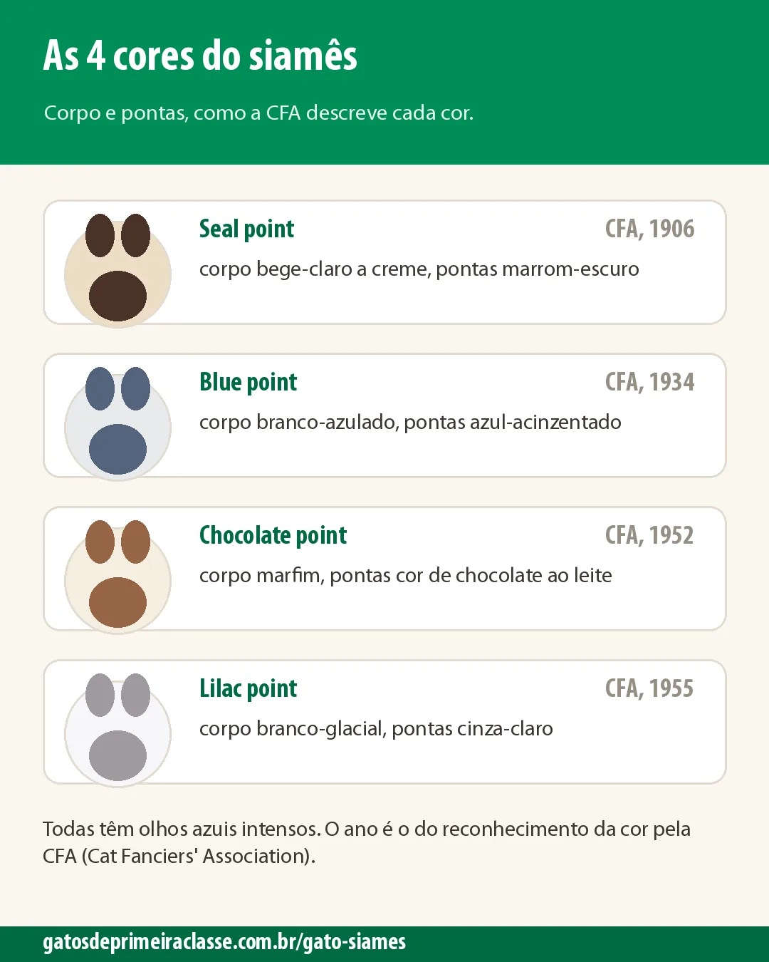 Infográfico com as quatro cores do siamês e o ano de reconhecimento pela CFA: seal point 1906, blue point 1934, chocolate point 1952 e lilac point 1955
