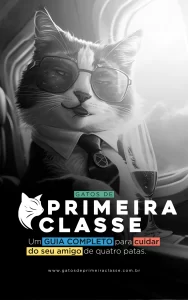 Capa do livro digital Gatos de Primeira Classe